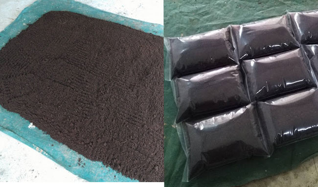 วิธีการเลี้ยงไส้เดือนดิน แบบเลียบแบบธรรมชาติ