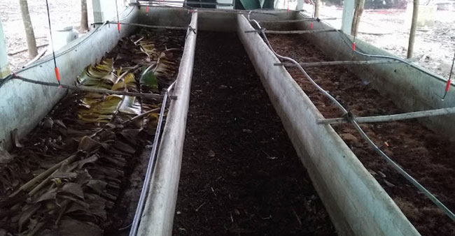 การเลี้ยงไส้เดือนดิน