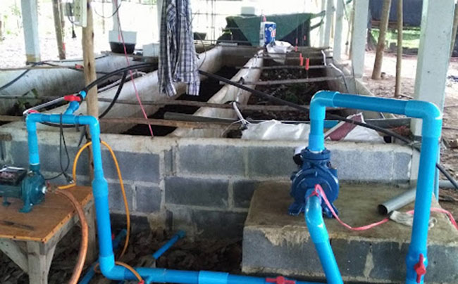 วิธีการเลี้ยงไส้เดือนดิน แบบเลียบแบบธรรมชาติ