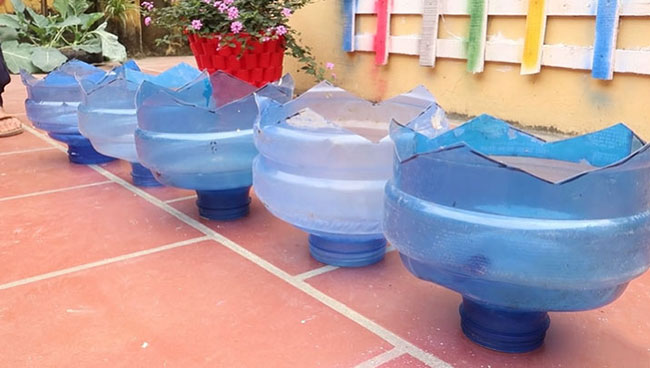 ปลูกมะเขือเทศ