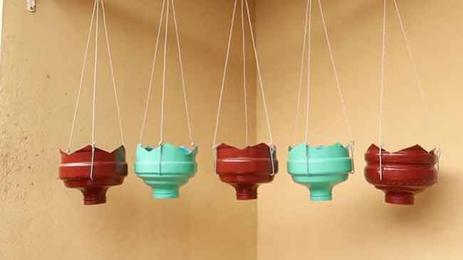 ปลูกมะเขือเทศ