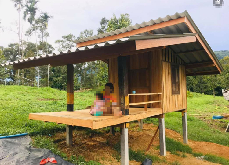 กระท่อมน้อยกลางป่าใหญ่