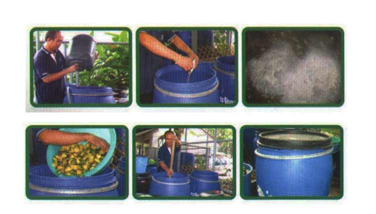 การผลิตน้ำหมักชีวภาพ หรือ ปุ๋ยอินทรีย์น้ำ