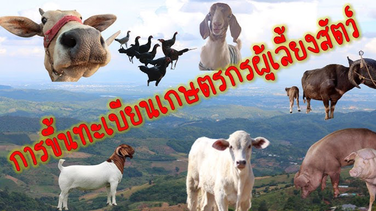 ขึ้นทะเบียนเกษตรกร
