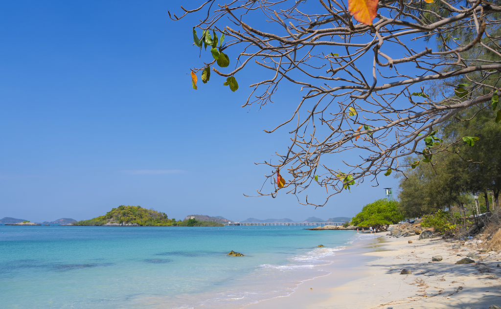 หาดนางรอง